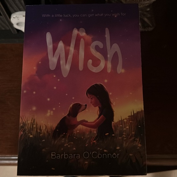 11 Middle school level books - Picture 2 of 12